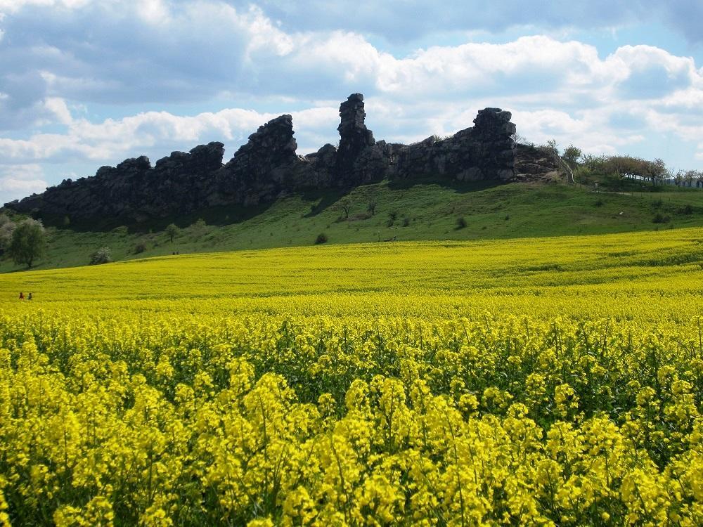 Ferienhaus Wotan ターレ エクステリア 写真